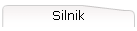 Silnik