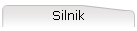 Silnik